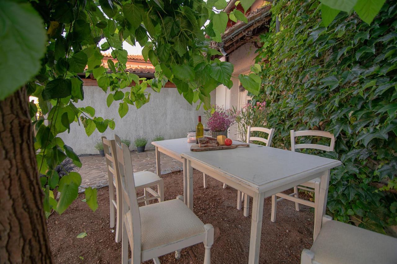 Apartment Ana - Karst Cycling Paradise Dutovlje Eksteriør bilde