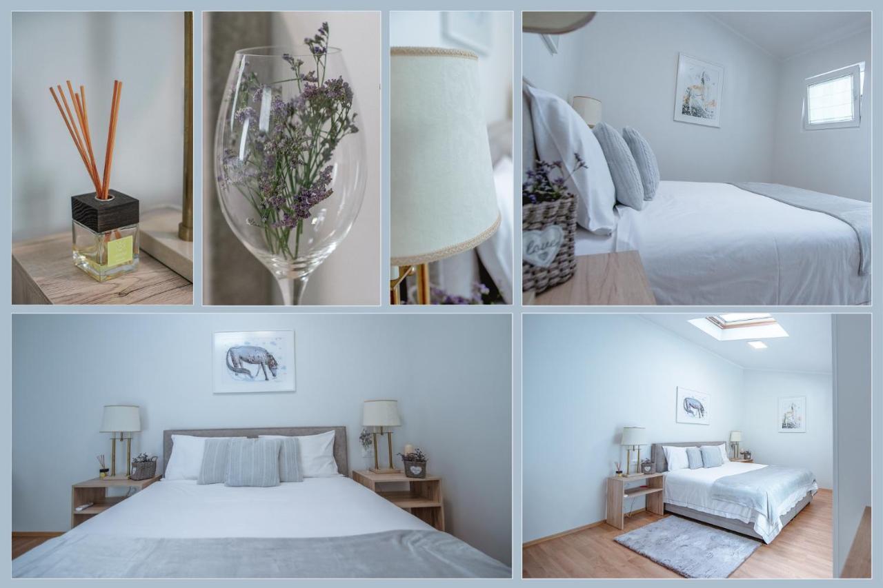 Apartment Ana - Karst Cycling Paradise Dutovlje Eksteriør bilde